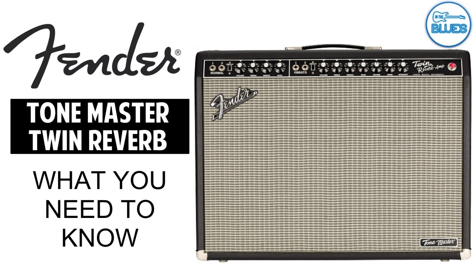 Fender Tone Master Twin Reverb Amp Review a Pros and Cons Review