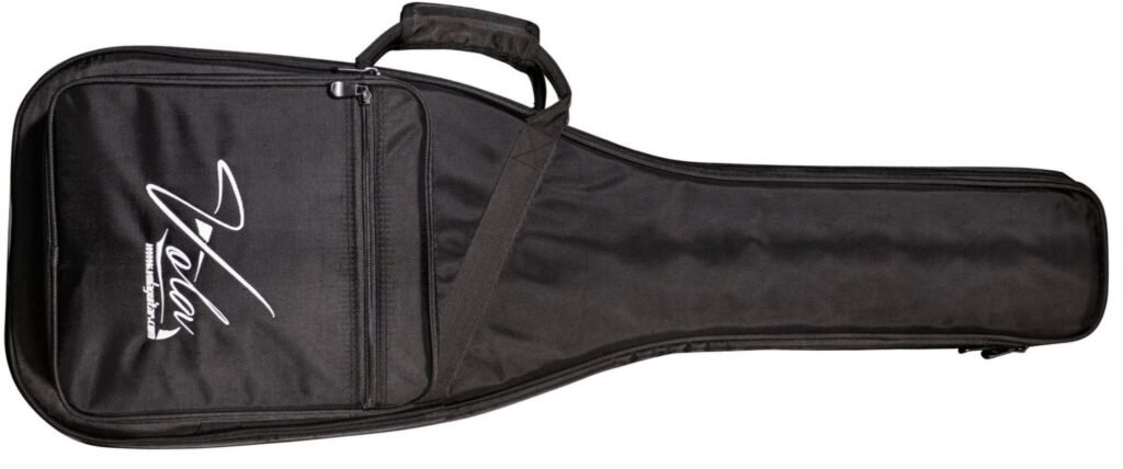 Vola Gig Bag (it's great!)