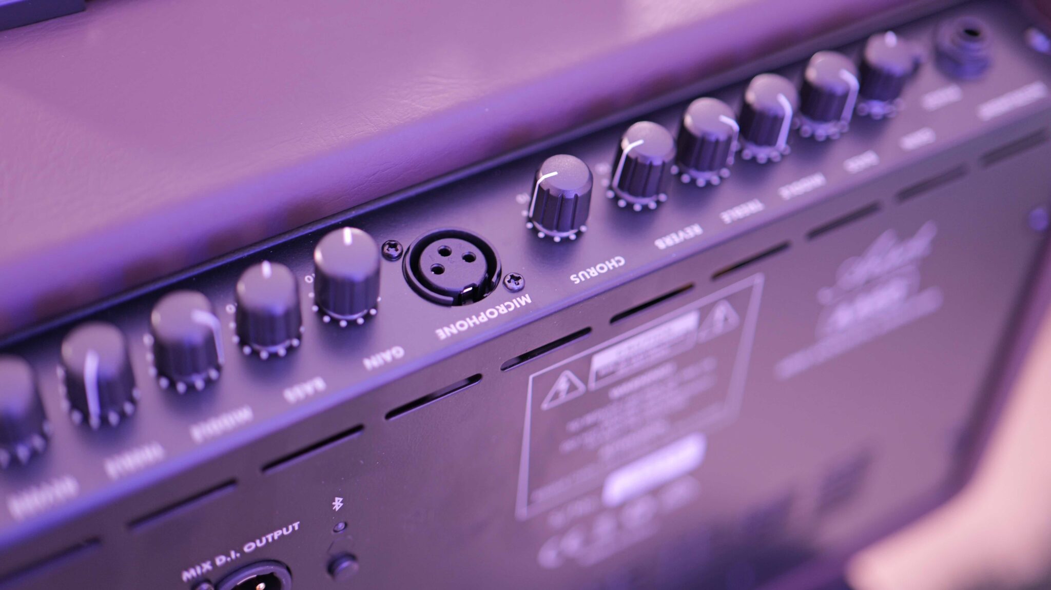 Artist AA60 Acoustic Guitar Amplifier Unbeatable Value! intheblues